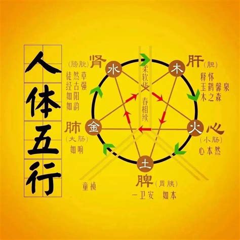 木克土|“五行相克”，分别是什么克什么？